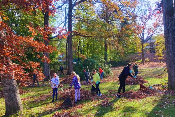 Intergenerational group of people is raking leaves outside the Natick Housing Authority on a sunny fall day.