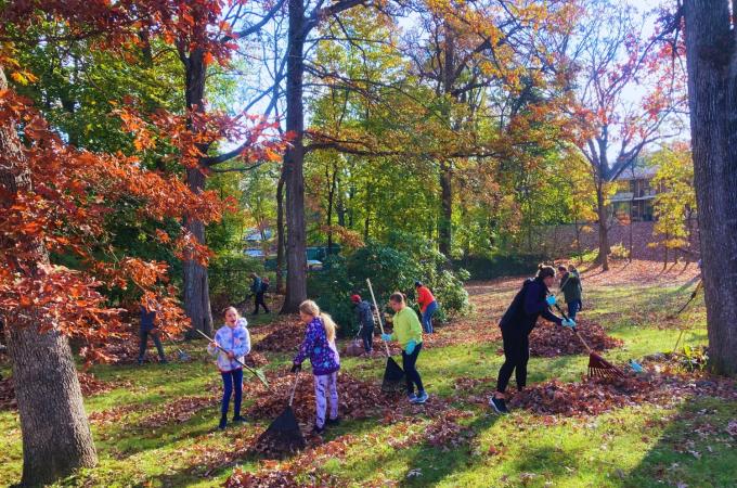 Intergenerational group of people is raking leaves outside the Natick Housing Authority on a sunny fall day.